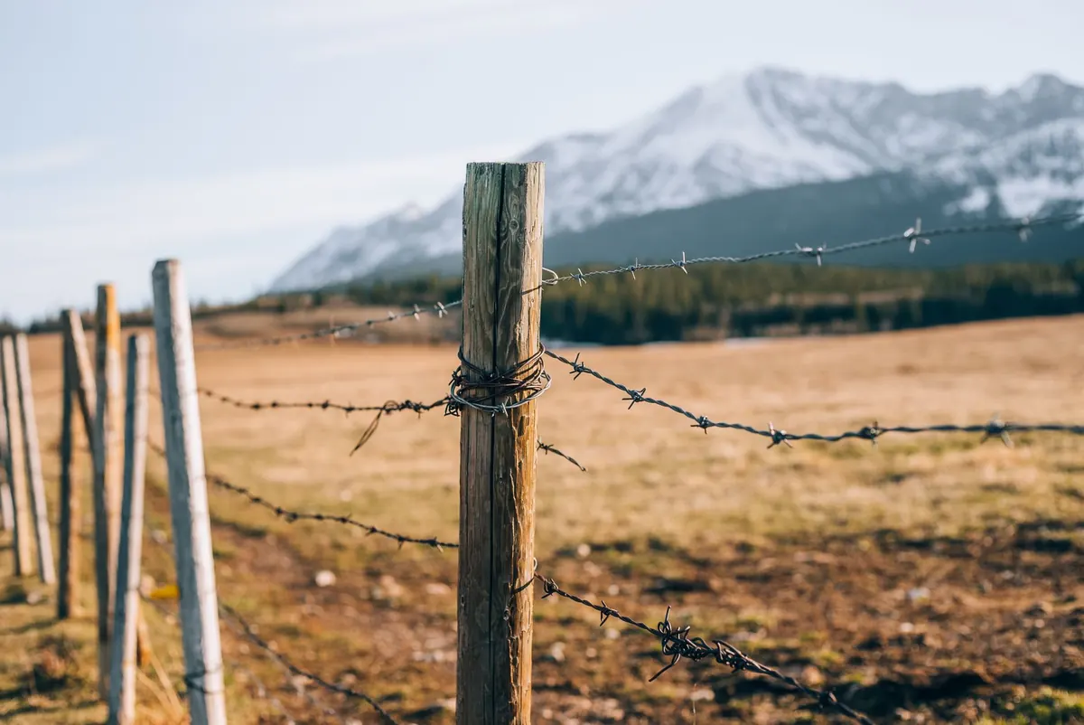Common Mistakes in Agricultural Fencing That Cost You Time and Money