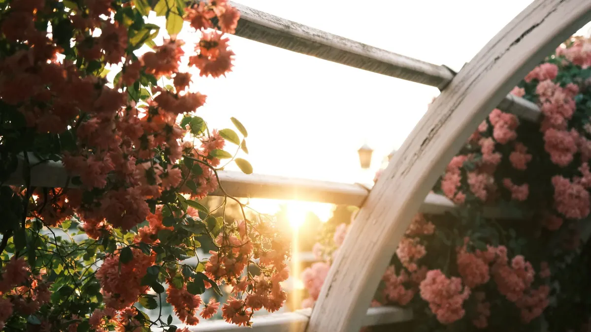 How to Build a Budget Trellis Fence for Climbing Plants