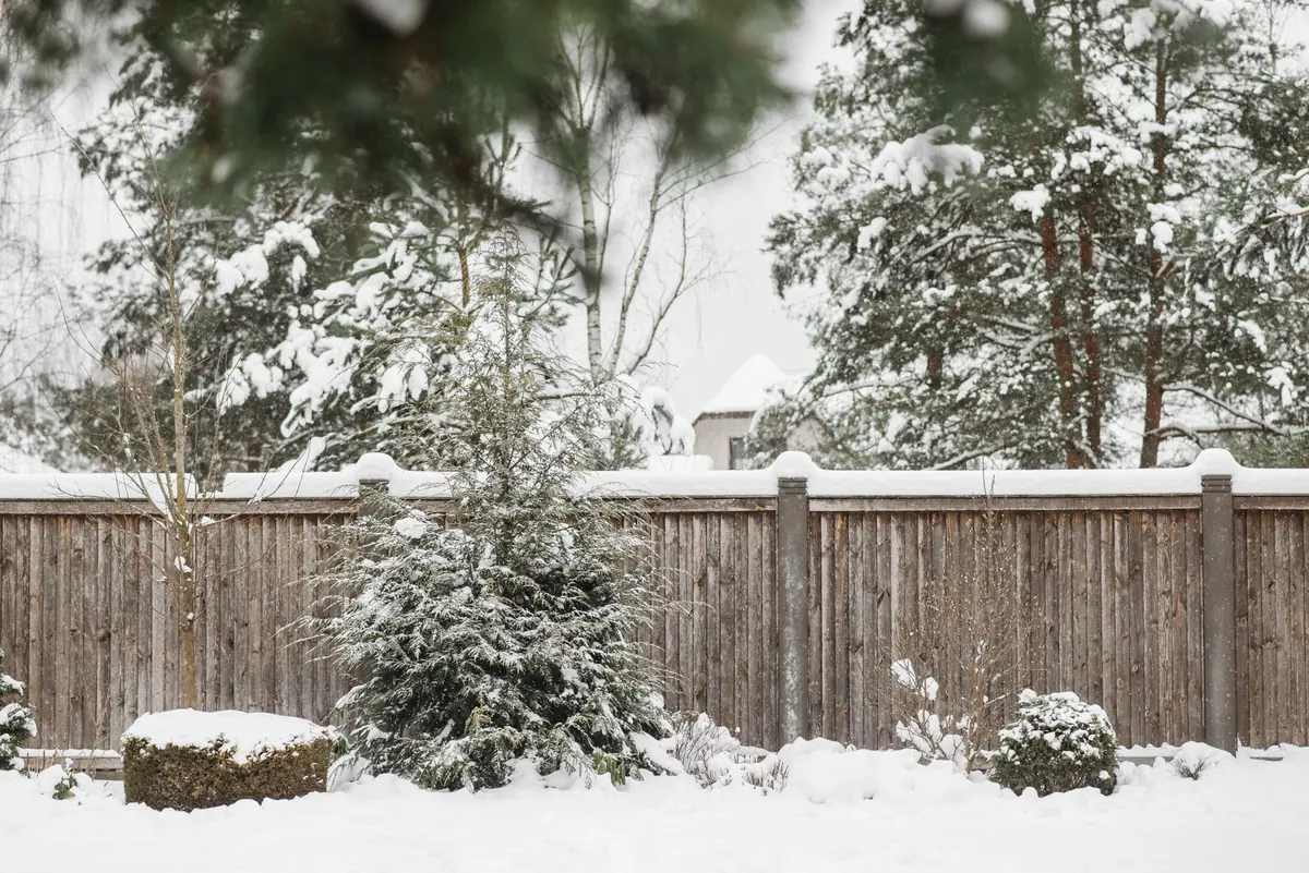 Winter Fence Maintenance Checklist for UK Gardens
